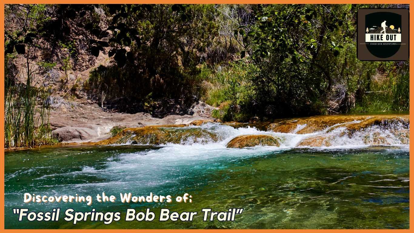  A pristine river flowing over smooth rocks surrounded by trees and grasses on the Fossil Springs Bob Bear Trail.