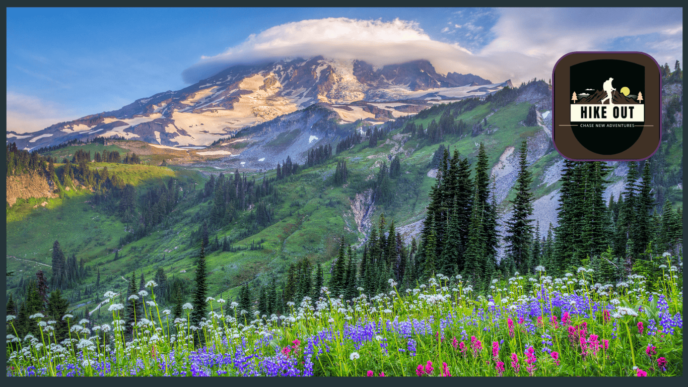 A beautiful view from the Skyline Loop Trail at Mount Rainier National Park with vibrant wildflowers in the foreground and snow-capped peaks of Mount Rainier in the background.